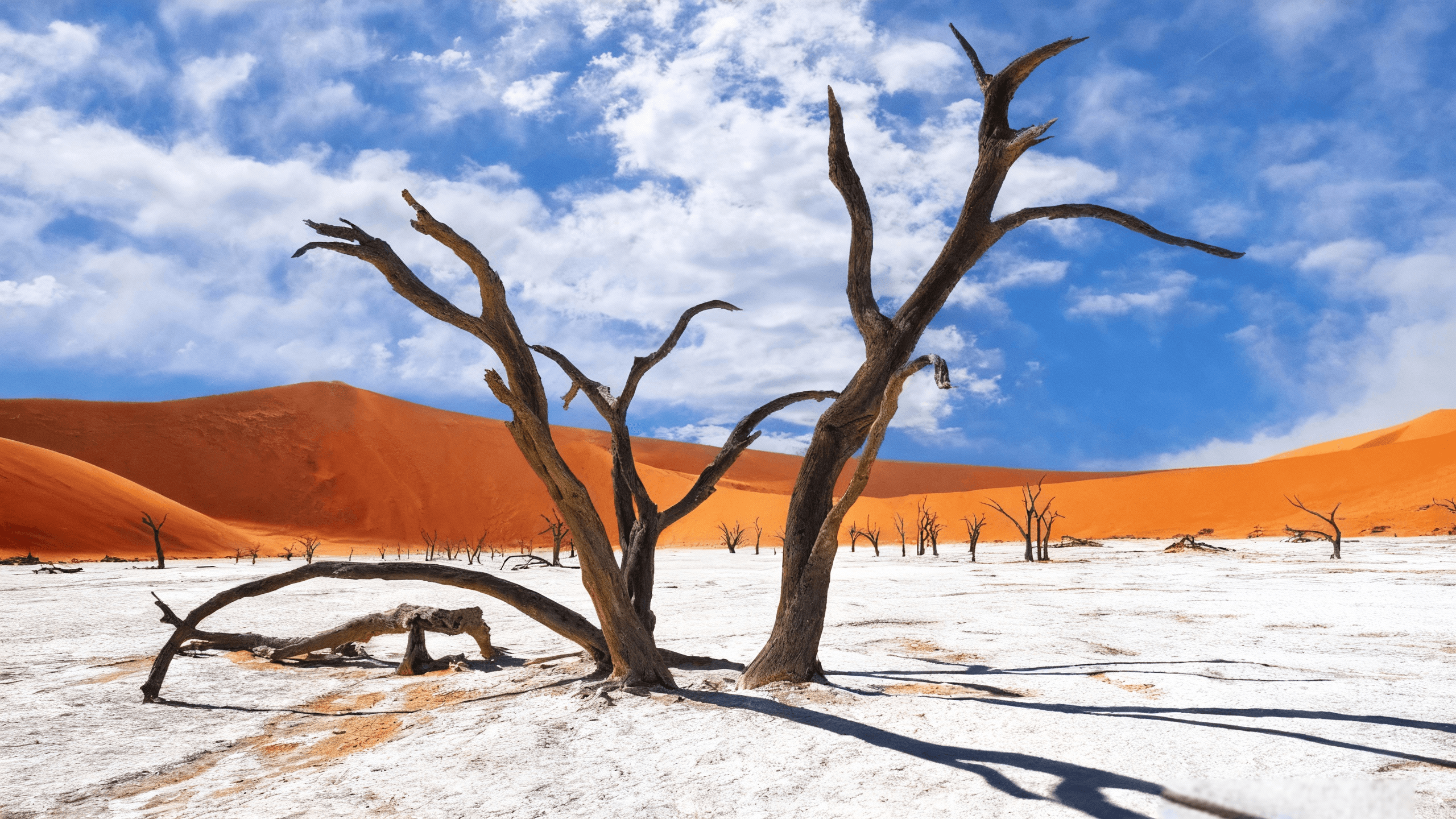 Namibia