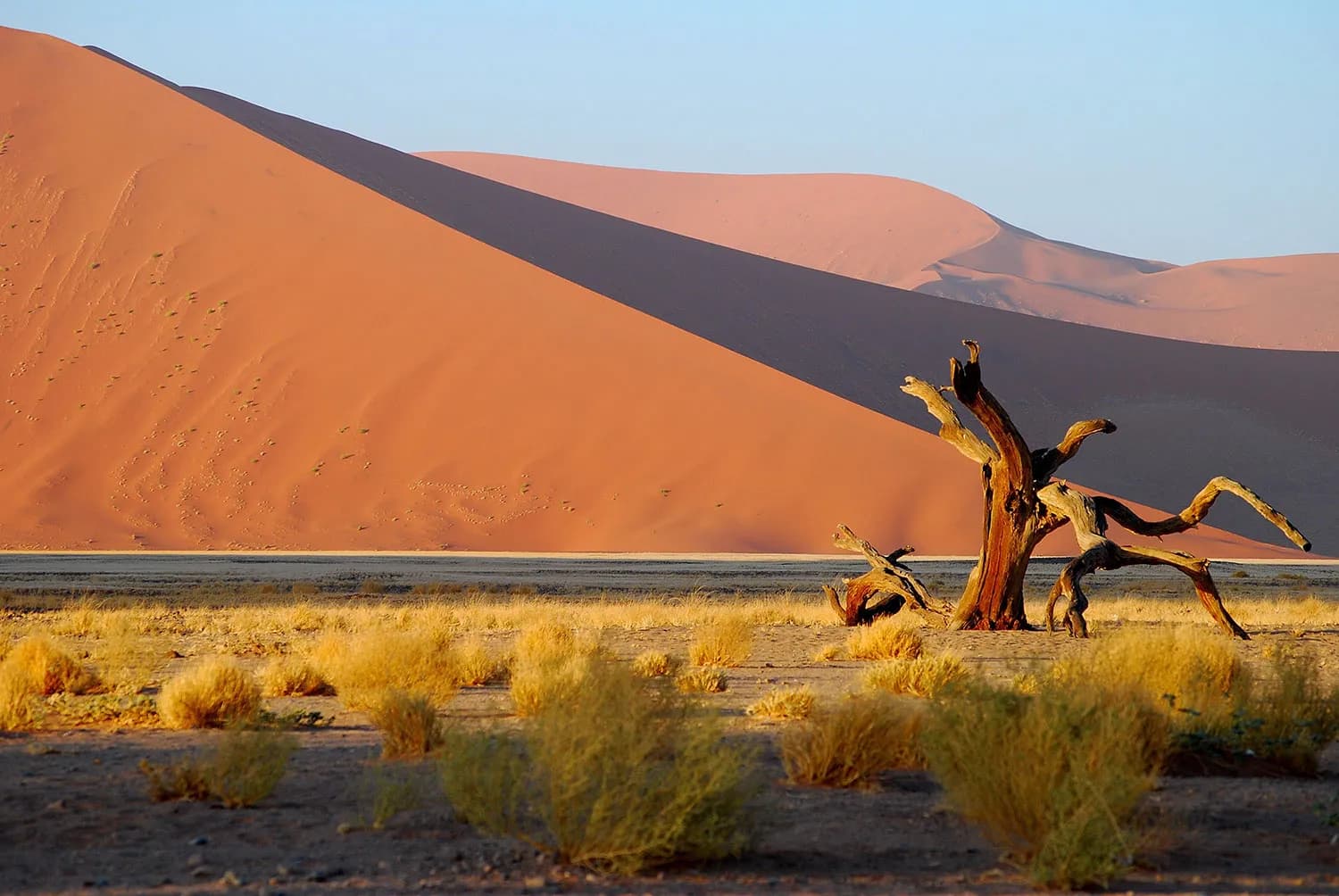 Sossusvlei - Image 1