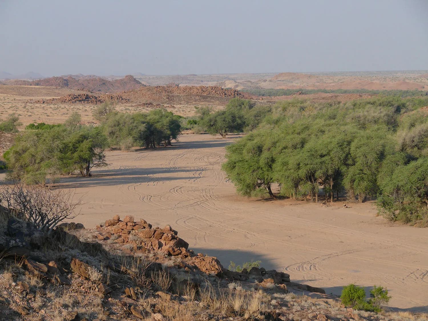 Damaraland - Image 1