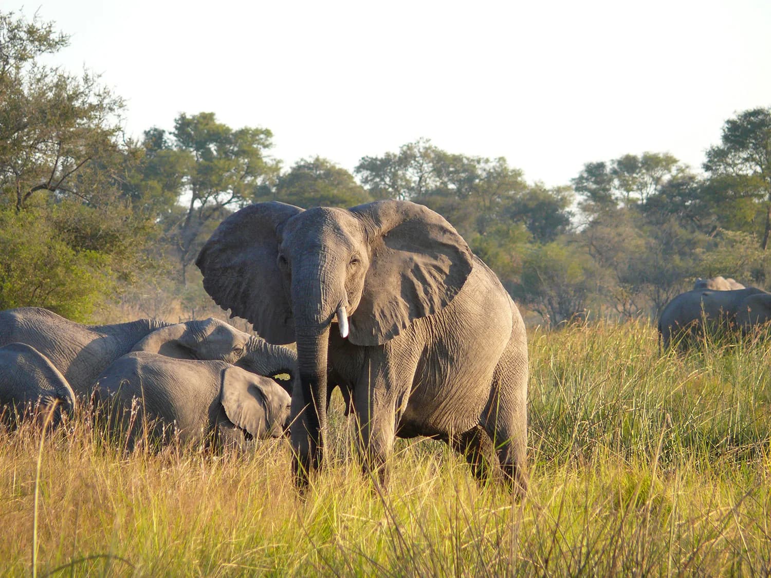 Mudumu National Park - Image 1