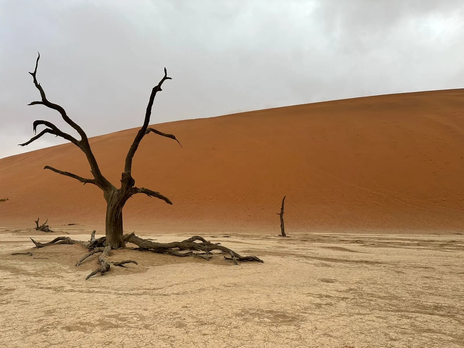 Best of Namibia